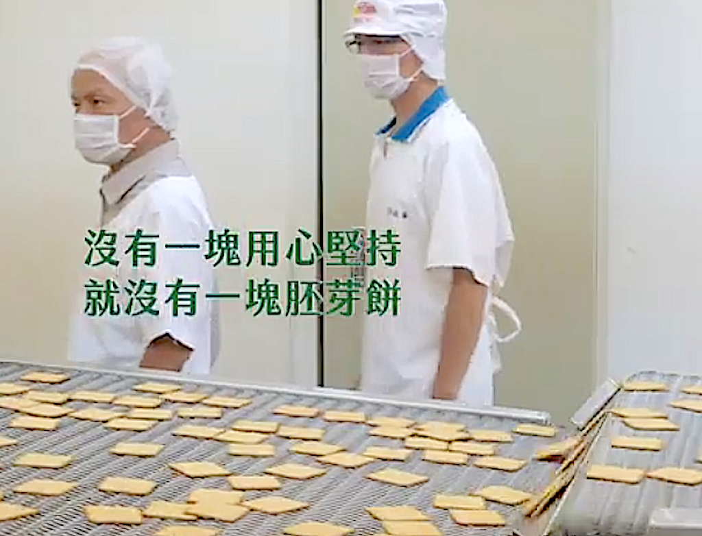 Crafted with grit: Wheat Germ Crackers. Got2Try.com