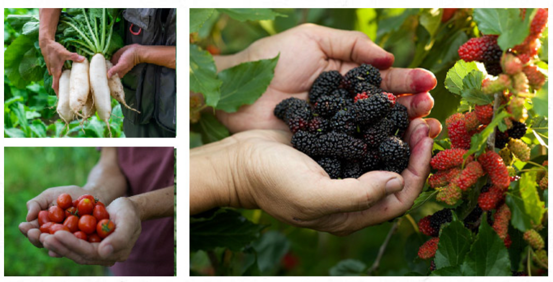 Leezen - Sustainable Development Goals