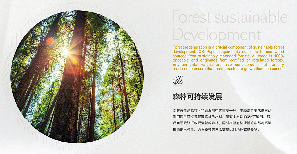 C&S Kitchen Wet Wipes - 30 sheets