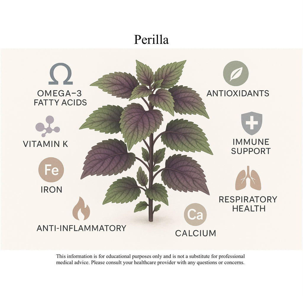 Leezen Perilla Seed Oil