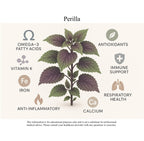 Leezen Perilla Seed Oil