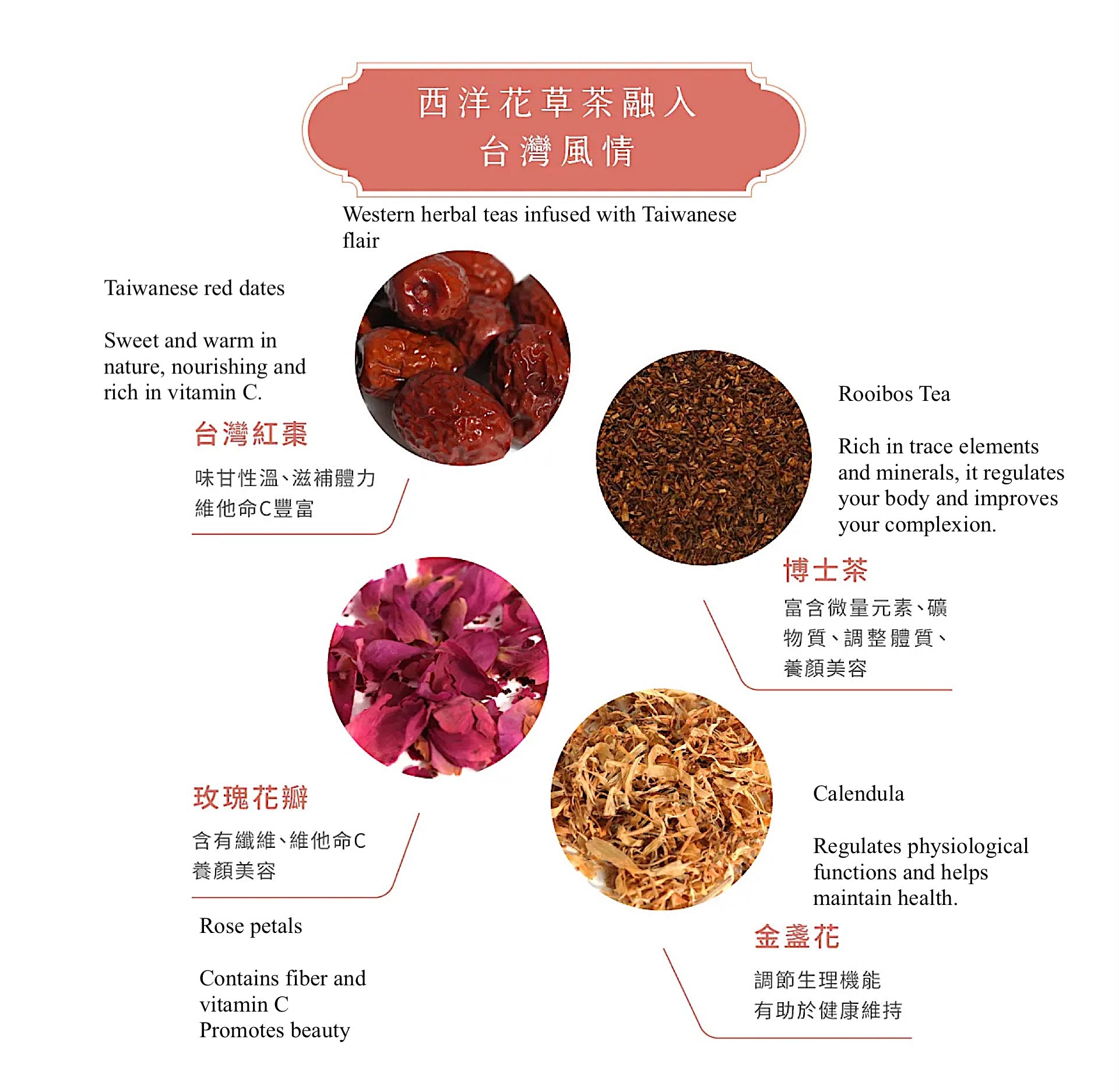 Magnet Jujube Tea with Rose