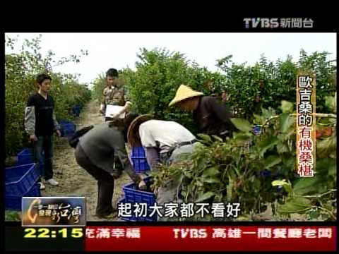 ChenJiahJuang Natural Pure Mulberry Juice (No Added Sugar)